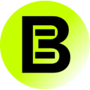 BitMine Immersion Technologies, Inc. Common Stock logo