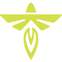 Firefly Aerospace Inc. logo